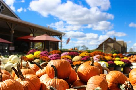 7 Early Fall Festivals You Can Visit This Weekend - Washingtonian