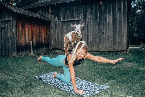 Read this before you try Goat Yoga | WELLNESS TRAVELLED