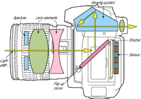 How does the mirror in a DSLR operate? - Photography Stack Exchange