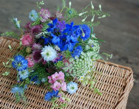 Just picked bride's bouquet, love in the mist and delphiniums ...