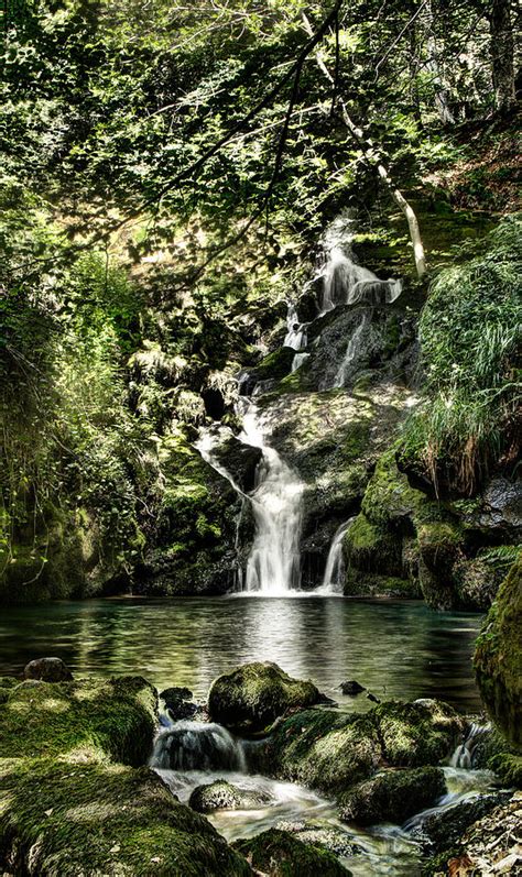 The Pond and the Forest Waterfall Photograph by Weston Westmoreland ...