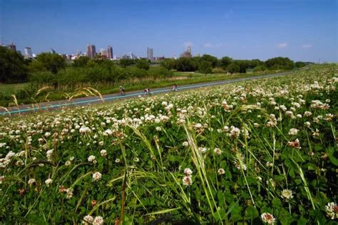 Tokyo Cycling Routes: 5 Popular Paths to Explore the City | Tokyo Cheapo