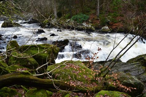 Tour Scotland: Tour Scotland Video Photographs Storm Damage Hermitage Walk Dunkeld Perthshire ...