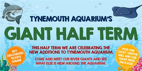 Tynemouth Aquarium’s Giant Half Term | Tynemouth Aquarium