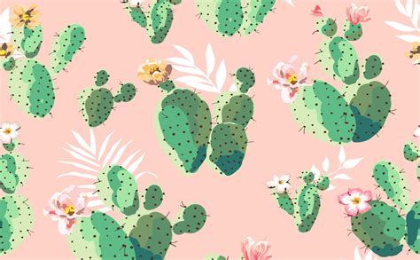 Cactus Desktop Wallpaper | WhatsPaper