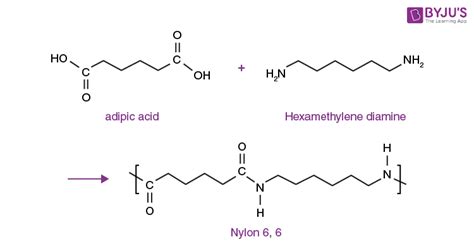 Polymers Examples