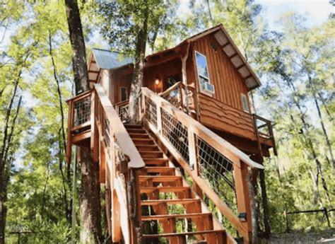 16 Best Treehouses In Florida for The Perfect Retreat - Florida Trippers