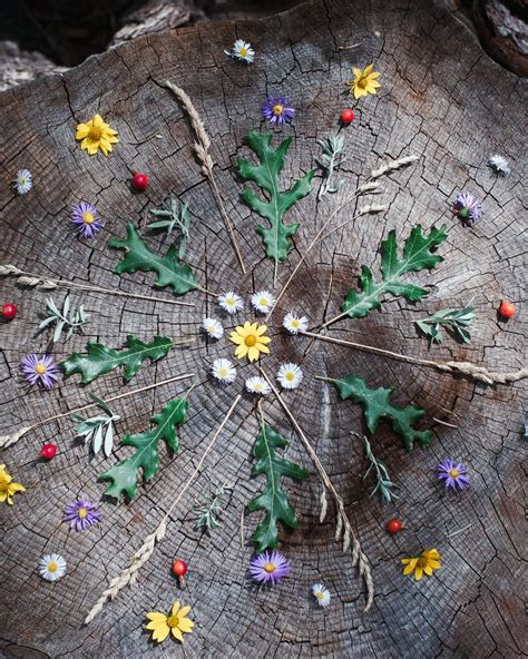 Creating a Nature Mandala - Sprouting Wild Ones