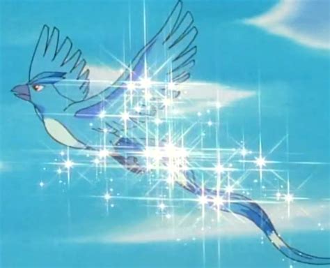 bird type pokemon images Bird pokemon HD wallpaper and background ...