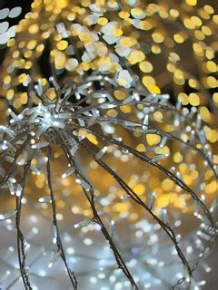 Lights | Photo taken with Focos | Stephane Venne | Flickr