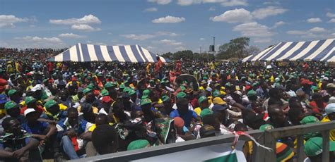 150 Beasts For Zanu PF Annual Congress – Pindula News