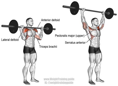 Barbell overhead press exercise guide and video | Weight Training Guide