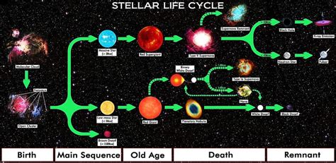 Stars-Life Cycles of Stars Diagram | Quizlet