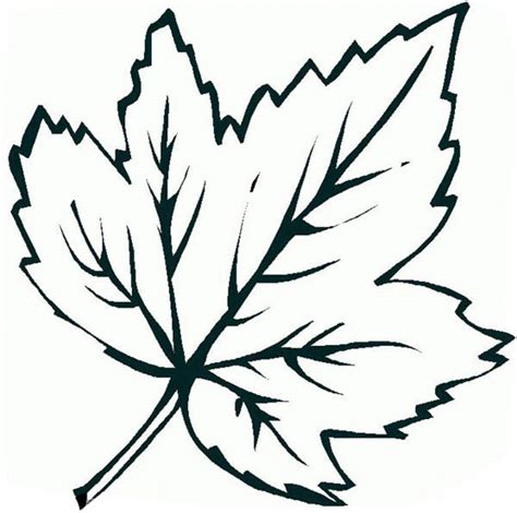 Coloring Leaf Printables