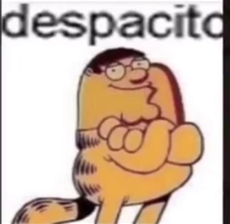 Peter Garfield Despacito | Despacito | Know Your Meme