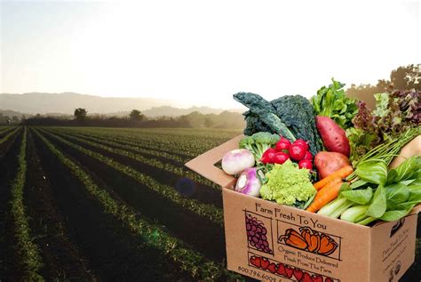 farm field and box package | Farm fresh to you, Farm fresh, Organic fruits and vegetables