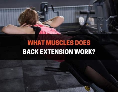 What Muscles Does Back Extension Work? A Simple Guide ...