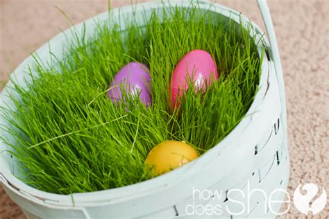 Grow Your Own Easter Basket Grass