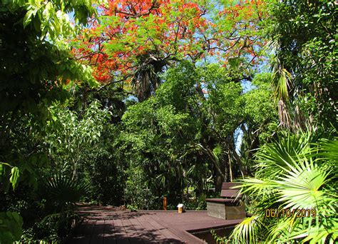 Key West Tropical Forest & Botanical Garden is Open with Free Admission ...