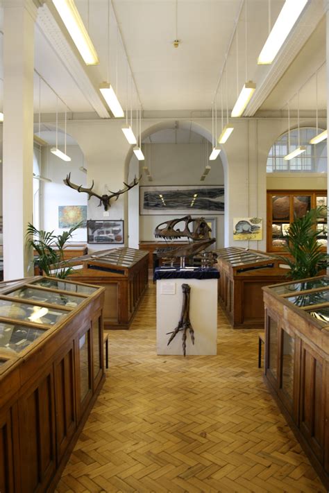 The Lapworth Museum of Geology | Musings