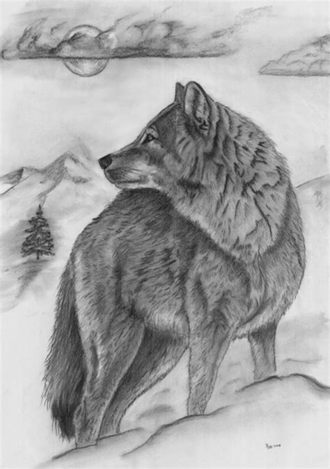 Full Body Wolf. Beautiful. Pencil Drawings Of Animals, Animal Sketches ...