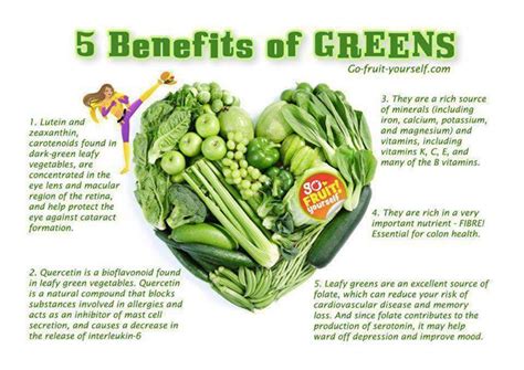 5 Benefits of Greens | ENCYCLOPEDIA OF FOOD FOR HEALTH AND WELL-BEING