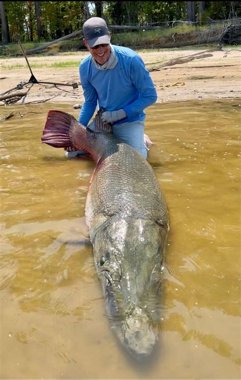 Sam Rayburn alligator gar catch could set new world record