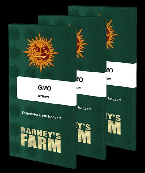 GMO Weed Strain Seeds | BARNEYS FARM