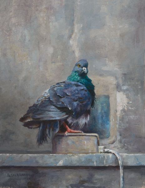 1000+ images about Pigeon art on Pinterest | Pigeon, Pigeon loft and The pigeon