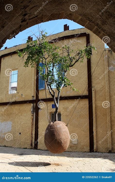 Floating Orange Tree, Jaffa Stock Photo - Image of history, building: 23552262