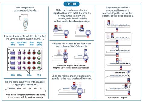 Gilson | Article | A Guide to Using Magnetic Beads for RNA and DNA ...