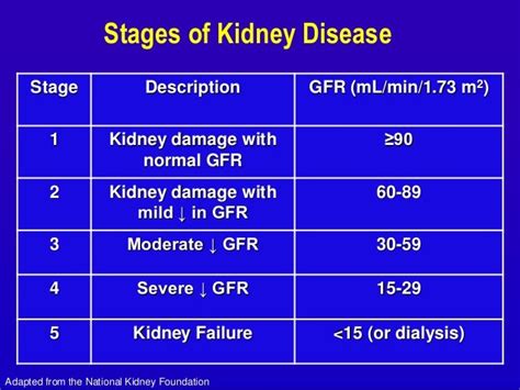 antibiotics induced renal failure