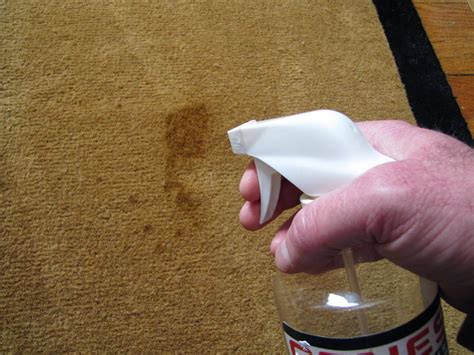 How to clean cat vomit stains. Remove puke stains easily with Genesis ...