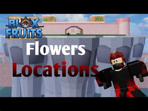 Flowers Location | Blox Fruits - YouTube