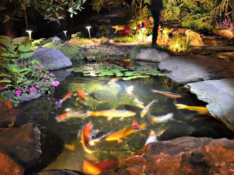 Underwater Pond Lighting | Ponds backyard, Pond lights, Backyard water feature