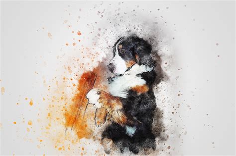 Download Dog, Animal, Art. Royalty-Free Stock Illustration Image - Pixabay