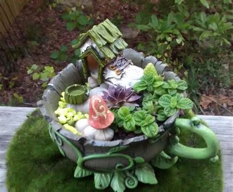 Miniature Fairy Garden Kit with Succulent