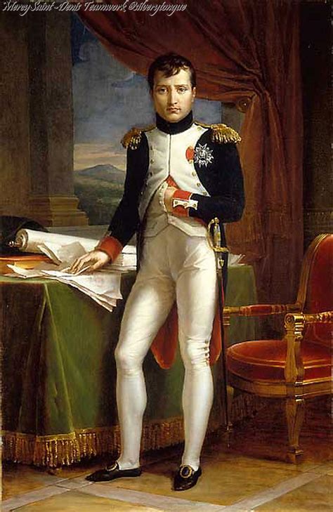 Napoleon I, 1812 by Francois Pascal Simon Gerard (1812). | Napoleon ...