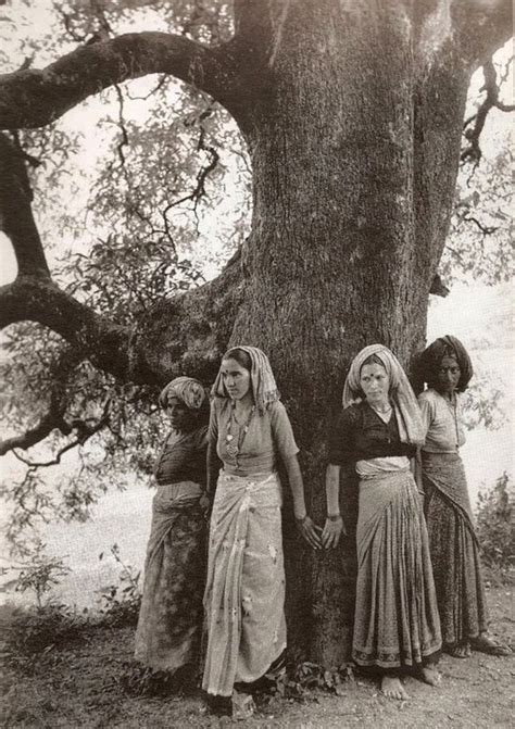 A picture of the Chipko movement in the early 70's in the Garhwal Hills of India. The village ...