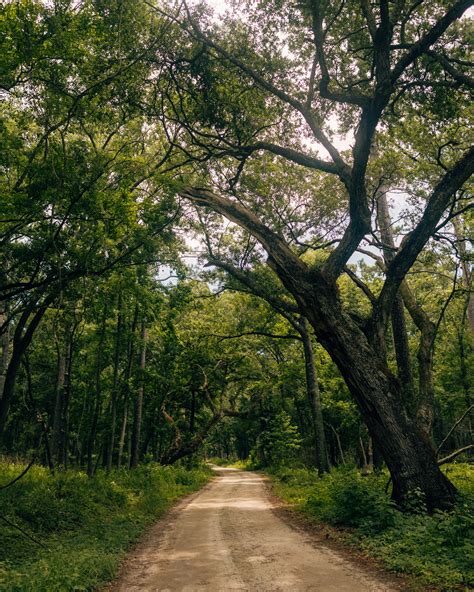 Botany Bay, South Carolina (Photo & Travel Guide)