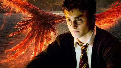 Harry Potter Fans Point Out Biggest Fantastic Beasts Problem