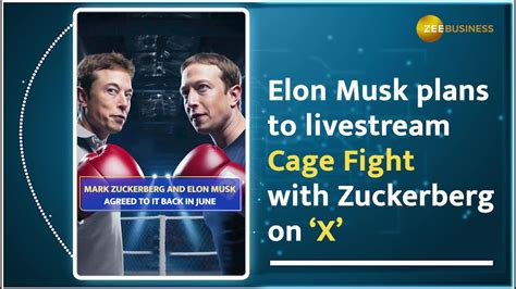 Musk vs Zuckerberg: The tech titans face off to be live streamed on X ...