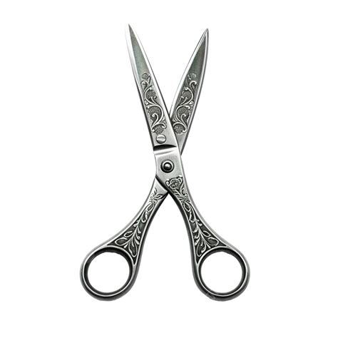 Beautiful Scissors Gray, Hair Scissors, Hair, Hair Stylist PNG Transparent Image and Clipart for ...