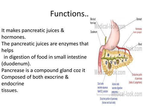 PPT - Pancreatitis PowerPoint Presentation, free download - ID:776273