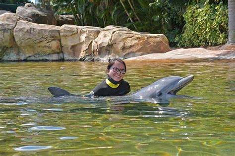 Tad's Rad Discovery Cove Dolphin Swim Experience & FAQ