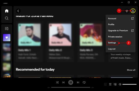 How to Fix a Spotify Web Player that Causes Screen Flickering? - App Blends