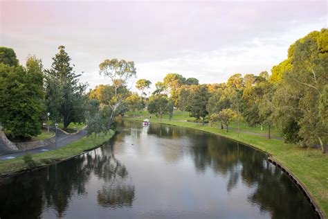 Photo of Reflections in the tranquil Torrens River Adelaide | Free ...