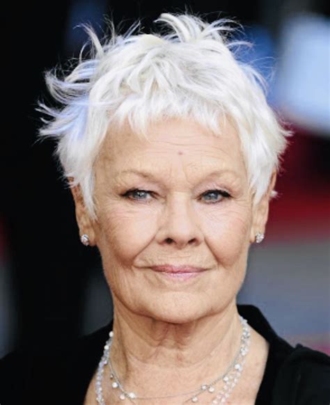 Judi Dench Hair - 2024 HairStyles Ideas