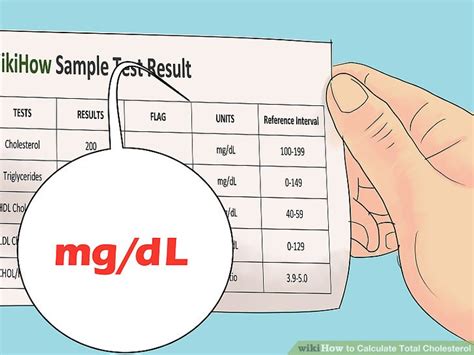 How to Calculate Total Cholesterol: 12 Steps (with Pictures)