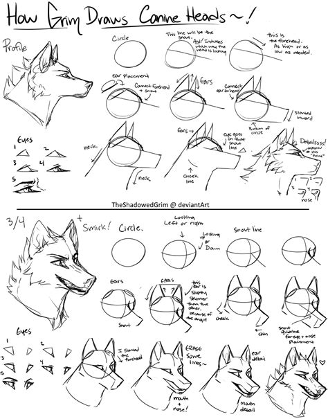 Canine heads step-by-step by TheShadowedGrim | Wolf art drawing, Canine drawing, Wolf drawing